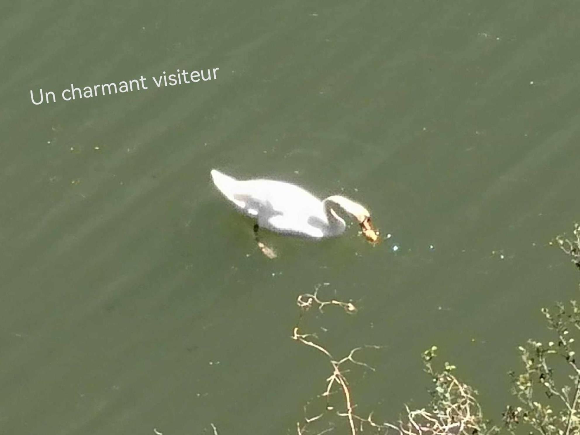 La Planque De L'Eclusier Villa Castelnau-de-Lévis Eksteriør bilde